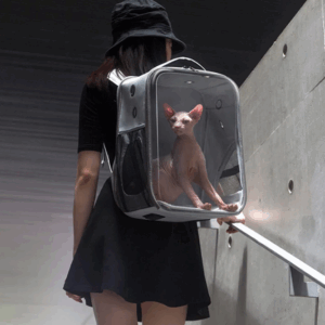 Transparent Cat Carrier Bag Foldable Cat Carry Backpack Breathable Portable Outgoing Travel Backpack Carrier For Cats Small Dogs